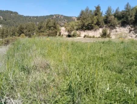 Çameli Kolakta Bargain 20 000 M2 Detached Title Deed Land Is For Sale Or Exchange.