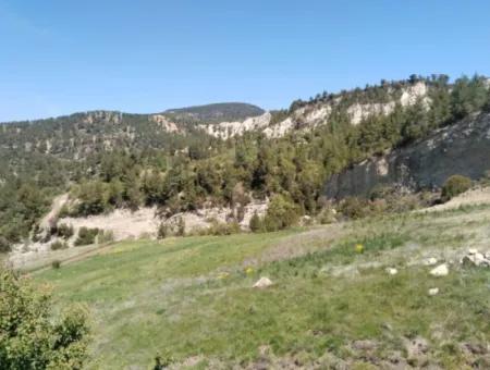 Çameli Kolakta Bargain 20 000 M2 Detached Title Deed Land Is For Sale Or Exchange.