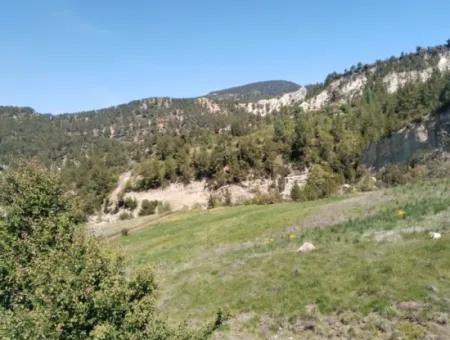 Çameli Kolakta Bargain 20 000 M2 Detached Title Deed Land Is For Sale Or Exchange.