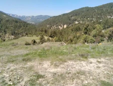 Çameli Kolakta Bargain 20 000 M2 Detached Title Deed Land Is For Sale Or Exchange.