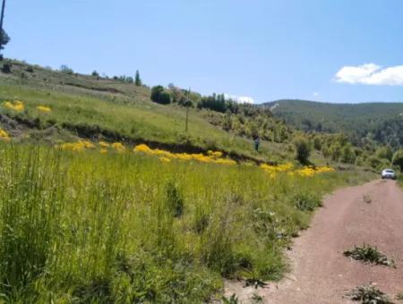 Çameli Kolakta Bargain 20 000 M2 Detached Title Deed Land Is For Sale Or Exchange.