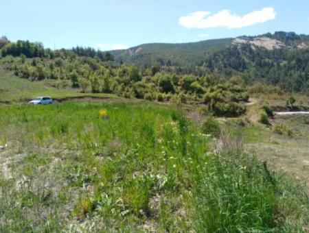 Çameli Kolakta Bargain 20 000 M2 Detached Title Deed Land Is For Sale Or Exchange.