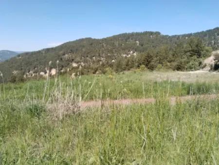 Çameli Kolakta Bargain 20 000 M2 Detached Title Deed Land Is For Sale Or Exchange.