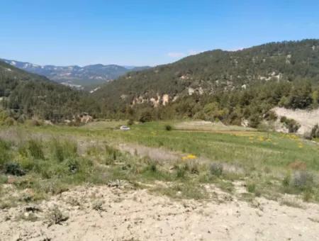 Çameli Kolakta Bargain 20 000 M2 Detached Title Deed Land Is For Sale Or Exchange.