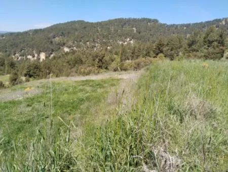 Çameli Kolakta Bargain 20 000 M2 Detached Title Deed Land Is For Sale Or Exchange.