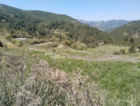 Çameli Kolakta Bargain 20 000 M2 Detached Title Deed Land Is For Sale Or Exchange.