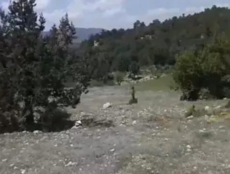 1770 M2 Field For Sale In Çameli Ayvacık