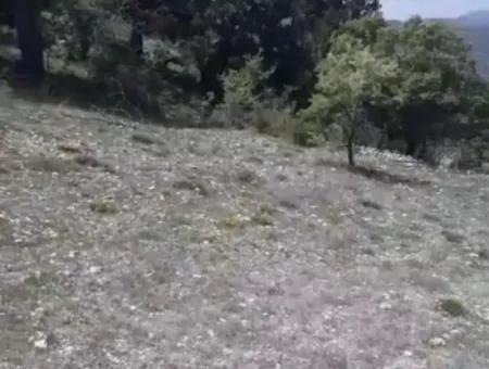 2030 M2 Field For Sale In Çameli Ayvacık