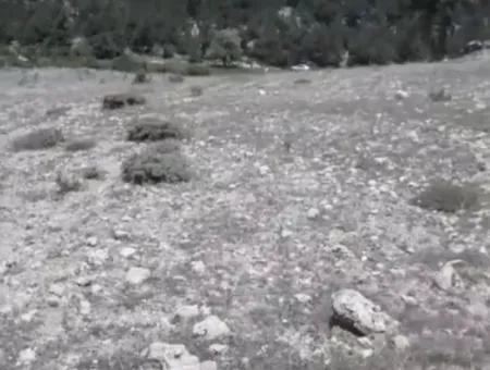 2030 M2 Field For Sale In Çameli Ayvacık