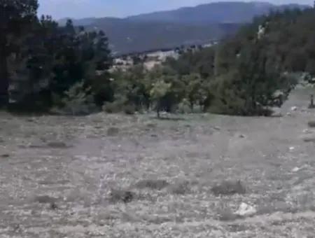 2030 M2 Field For Sale In Çameli Ayvacık