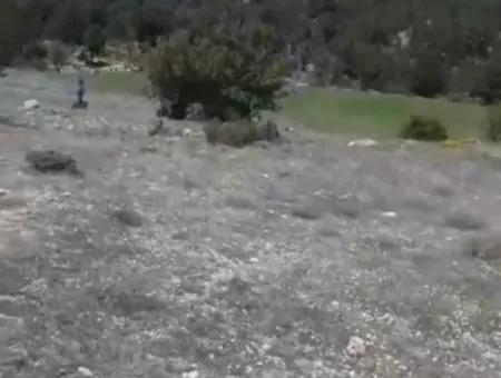 2030 M2 Field For Sale In Çameli Ayvacık