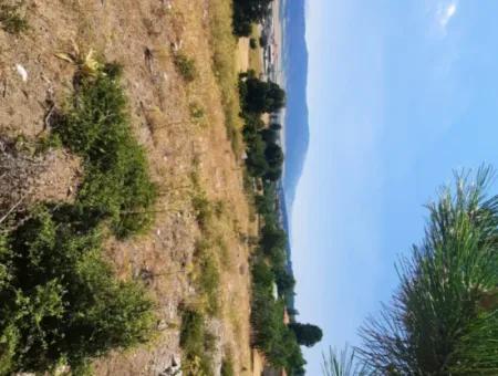 Fethiye, Nif Te, 2 100 M2, For Sale, Bargain Land