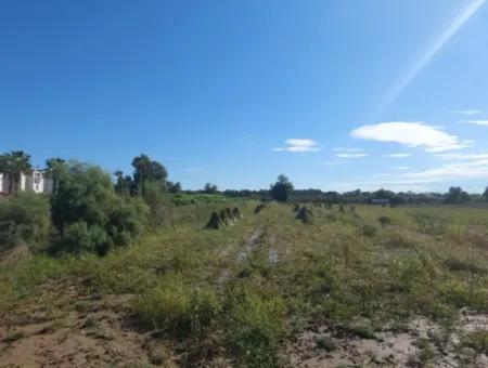 500 M2 2 Parcel Land For Sale In Ortaca Fevziye