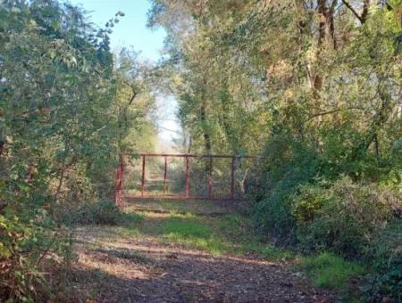 9 600 M2 Land Close To The Lake In Köyceğiz Toparlar Is For Sale