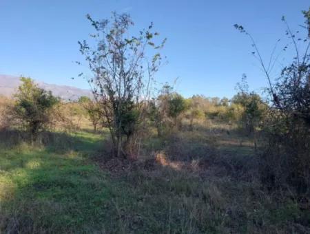 9 600 M2 Land Close To The Lake In Köyceğiz Toparlar Is For Sale