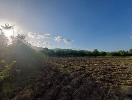 Muğla Ortaca, Dalaklı 2.000 M2, 400 M2 Residential Zoned Land For Sale With Construction Rights