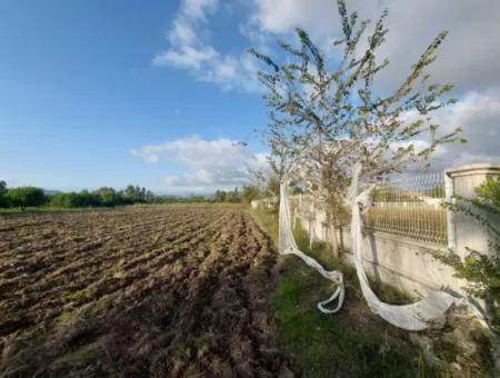 Muğla Ortaca, Dalaklı 2.000 M2, 400 M2 Residential Zoned Land For Sale With Construction Rights