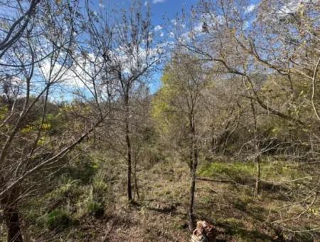 12 000 M2 Field For Sale In Ortaca Yeşilyurt