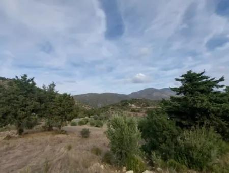 8.400 M² Bargain Olive Grove For Sale With Detached Title Deed In Datça Yazı, Muğla