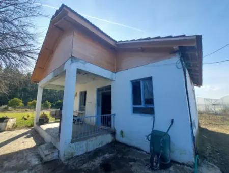 Muğla, Köyceğiz, Kavakarası 2 1, 3 Independent Kelepir Village Houses For Sale On 1500 M2 Land