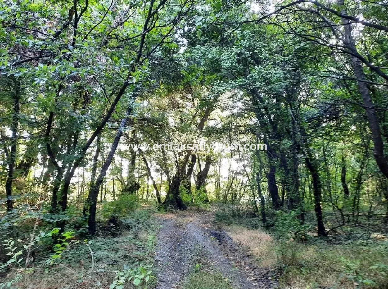 Muğla Dalyan Marmarlıda Satılık Yatırıma Uygun Arazi