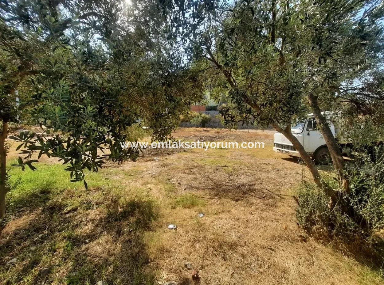 Ortaca Çaylıda Satılık Kelepir Arsa