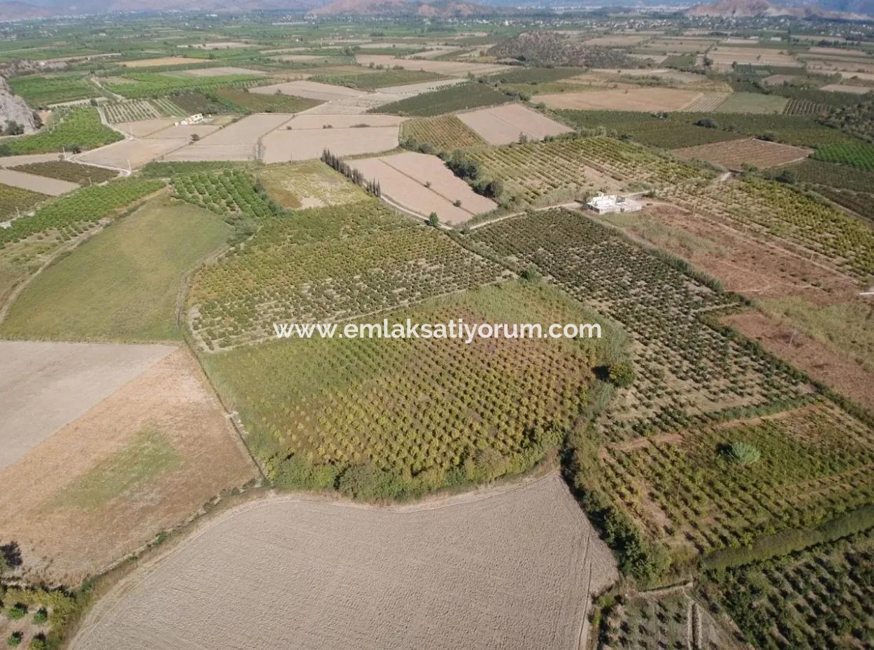Ortaca Mergenlide Satılık Müstakil Verimli Kelepir Arazi