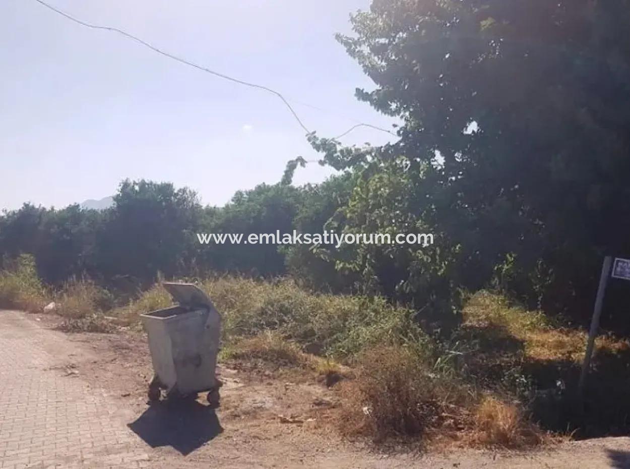 Köyceğiz Toparlarda 2 750 M2 Müstakil Arsa Satılık