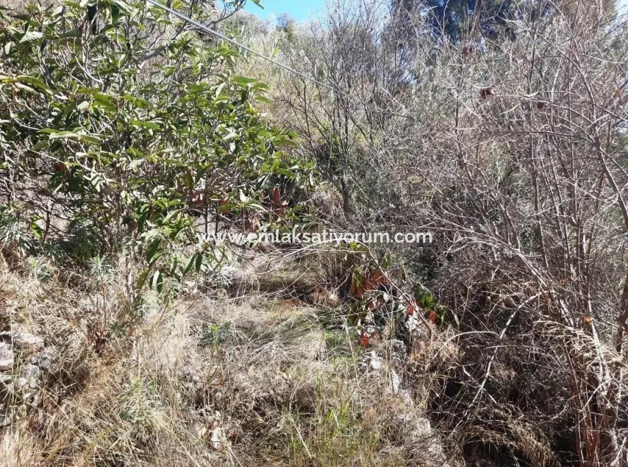 Ula Gökovada Satılık Deniz Ve Doğa Manzaralı Müstakil Köy Evi