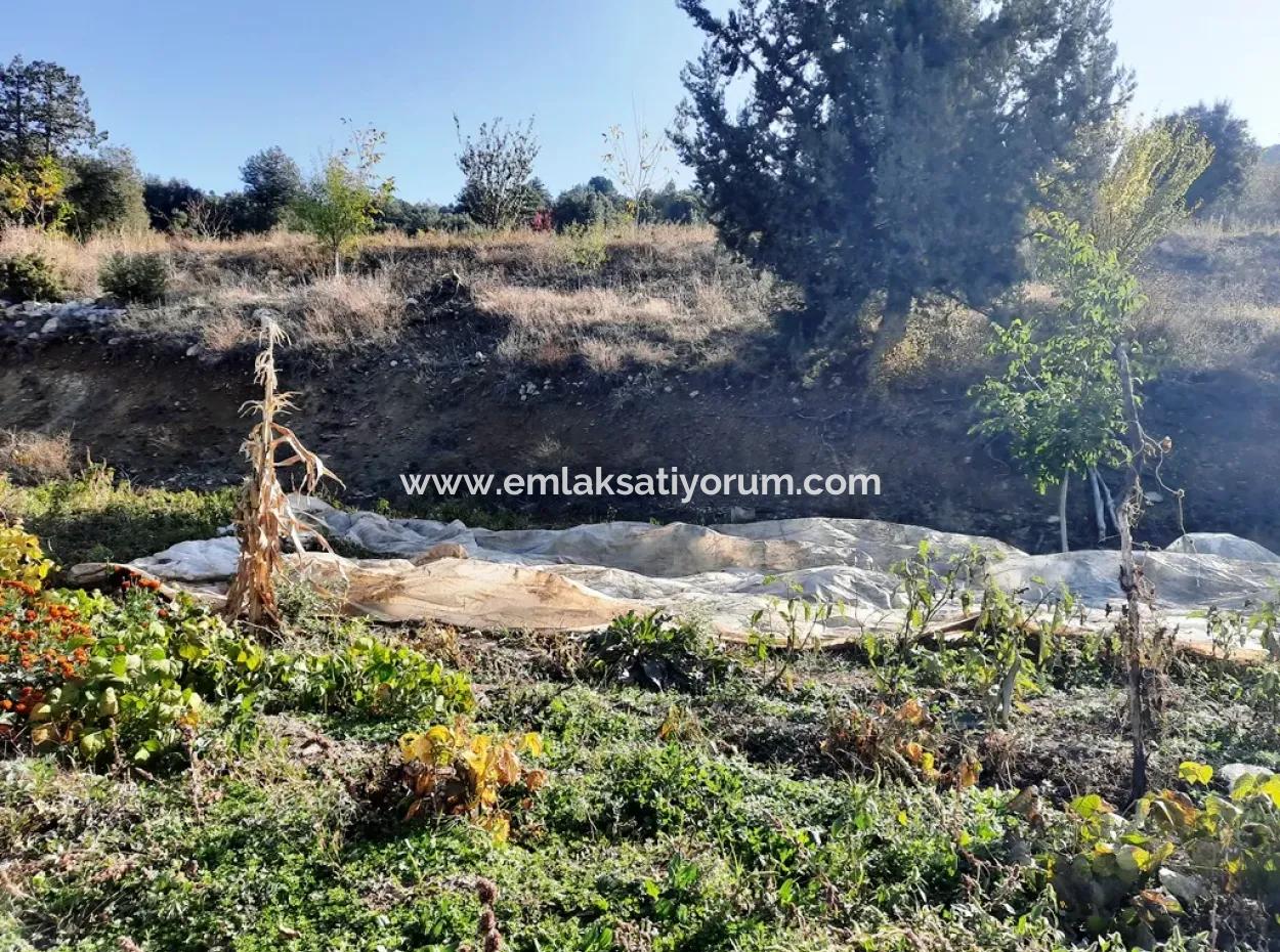 Denizli Çameli Kızılyakada Doğa Manzaralı Kelepir Arazi Ve Köy Evi Satılık