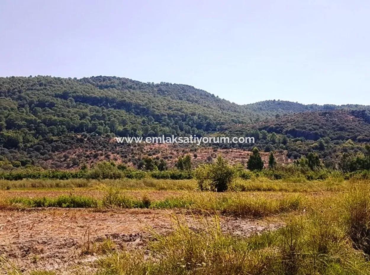 Muğla Ortaca Güzelyurtta Satılık Verimli Kelepir Arazi