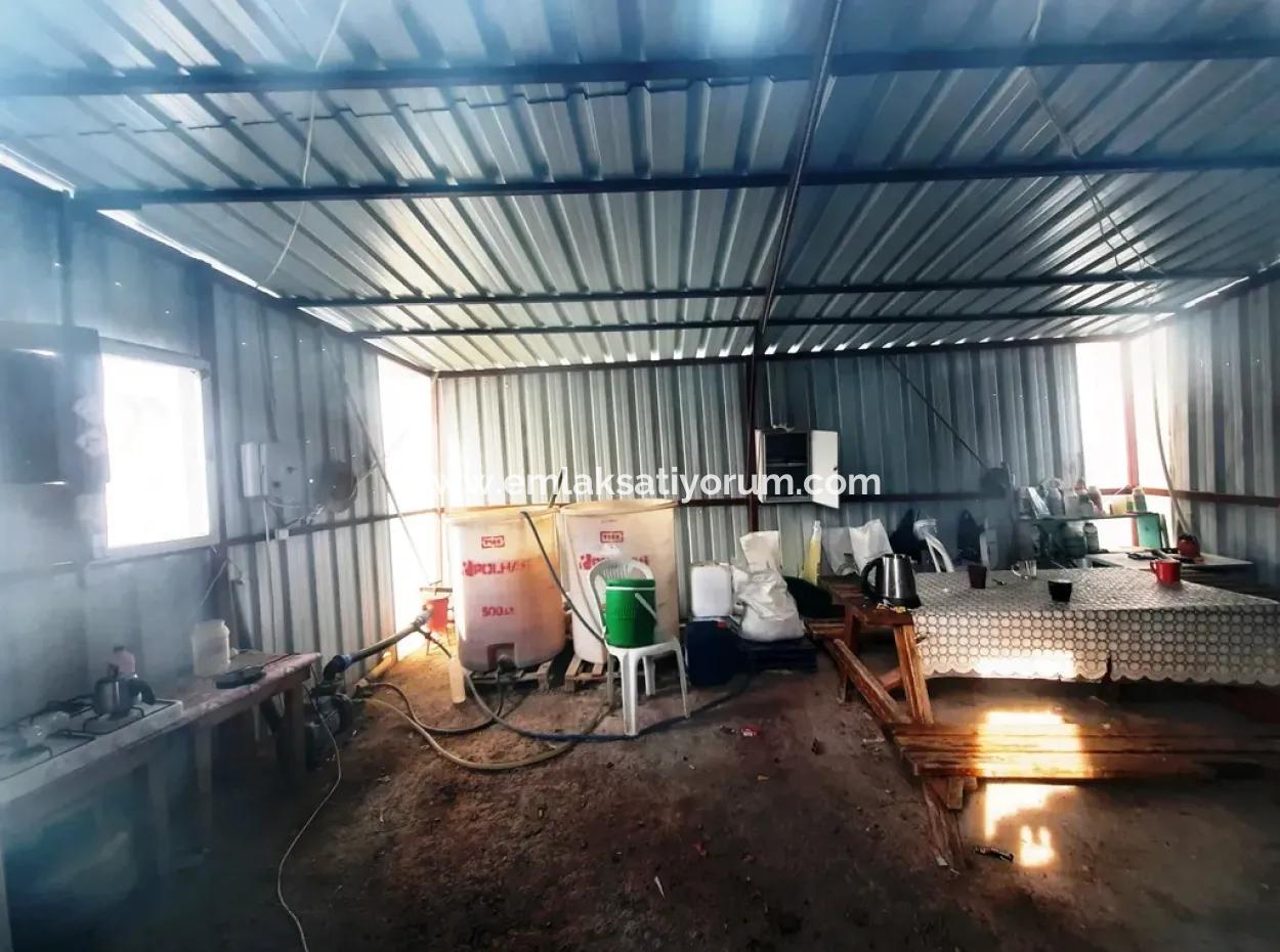 Denizli Çameli Yumrutaşta Satılık Müstakil 4 000 M2 Sera