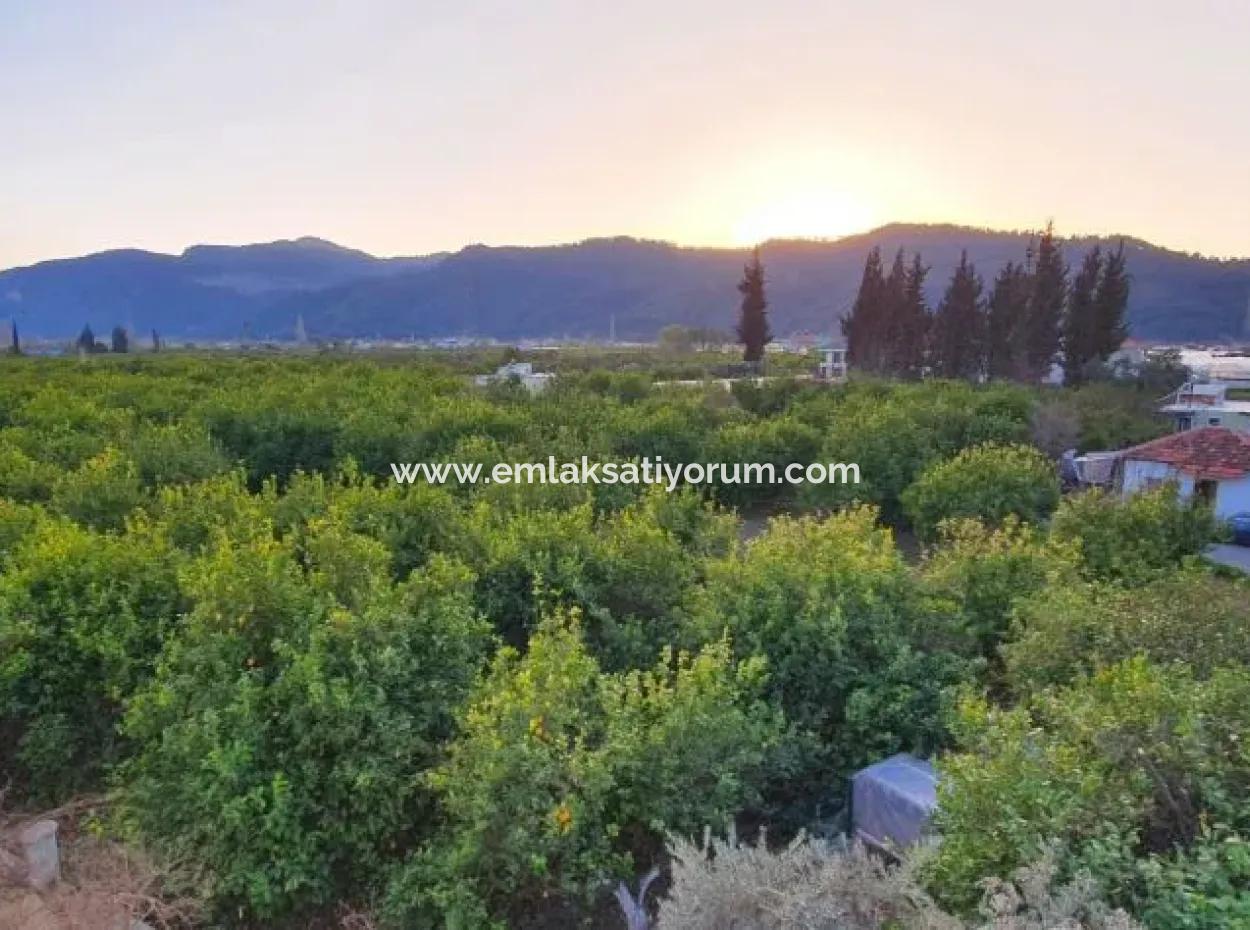 Ortaca Arıkbaşında Satılık Yüzme Havuzlu Lüks 3+1 Daire