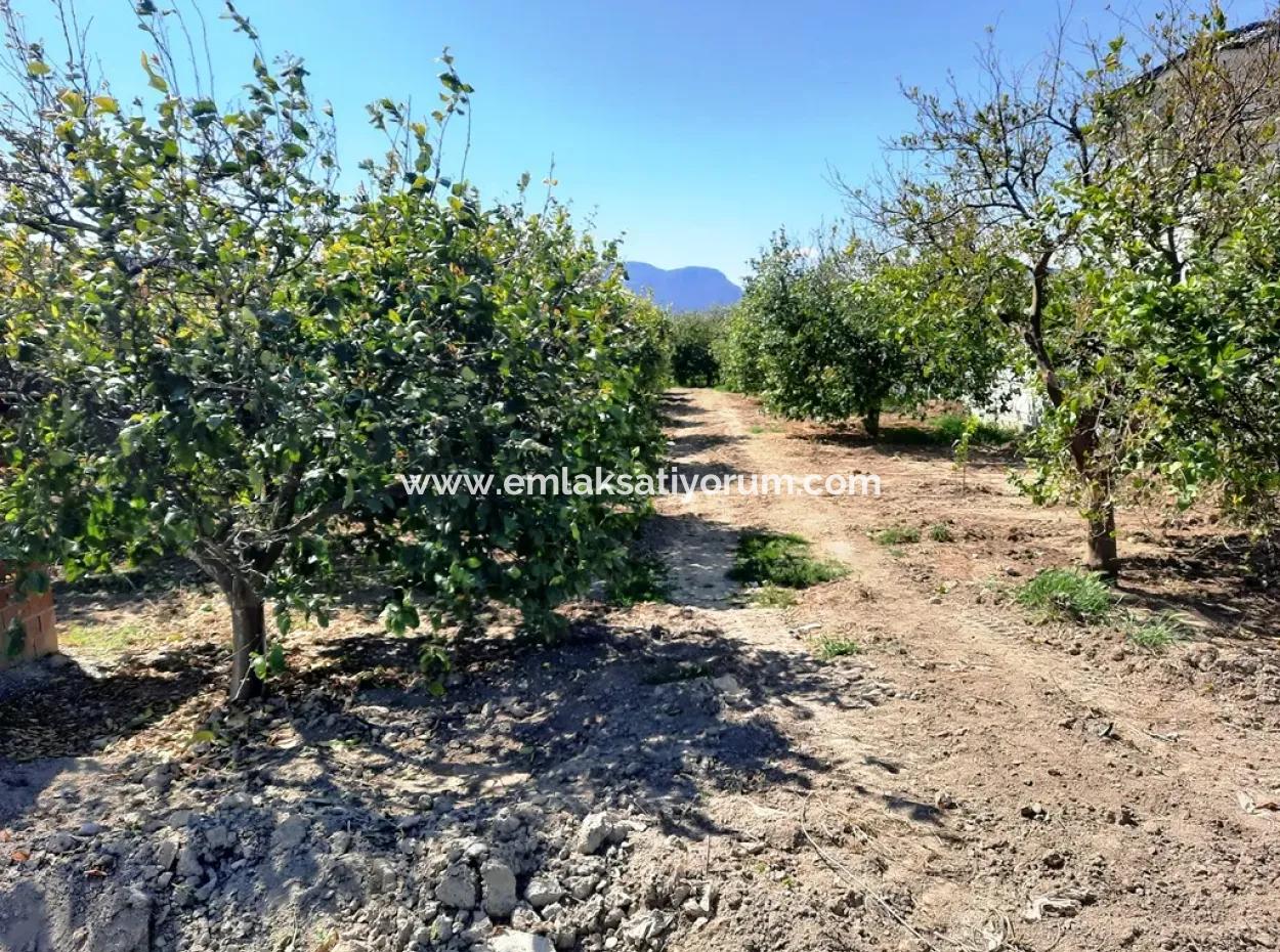 Muğla Ortaca Fevziyede Satılık 530 M2 İmarlı Arsa