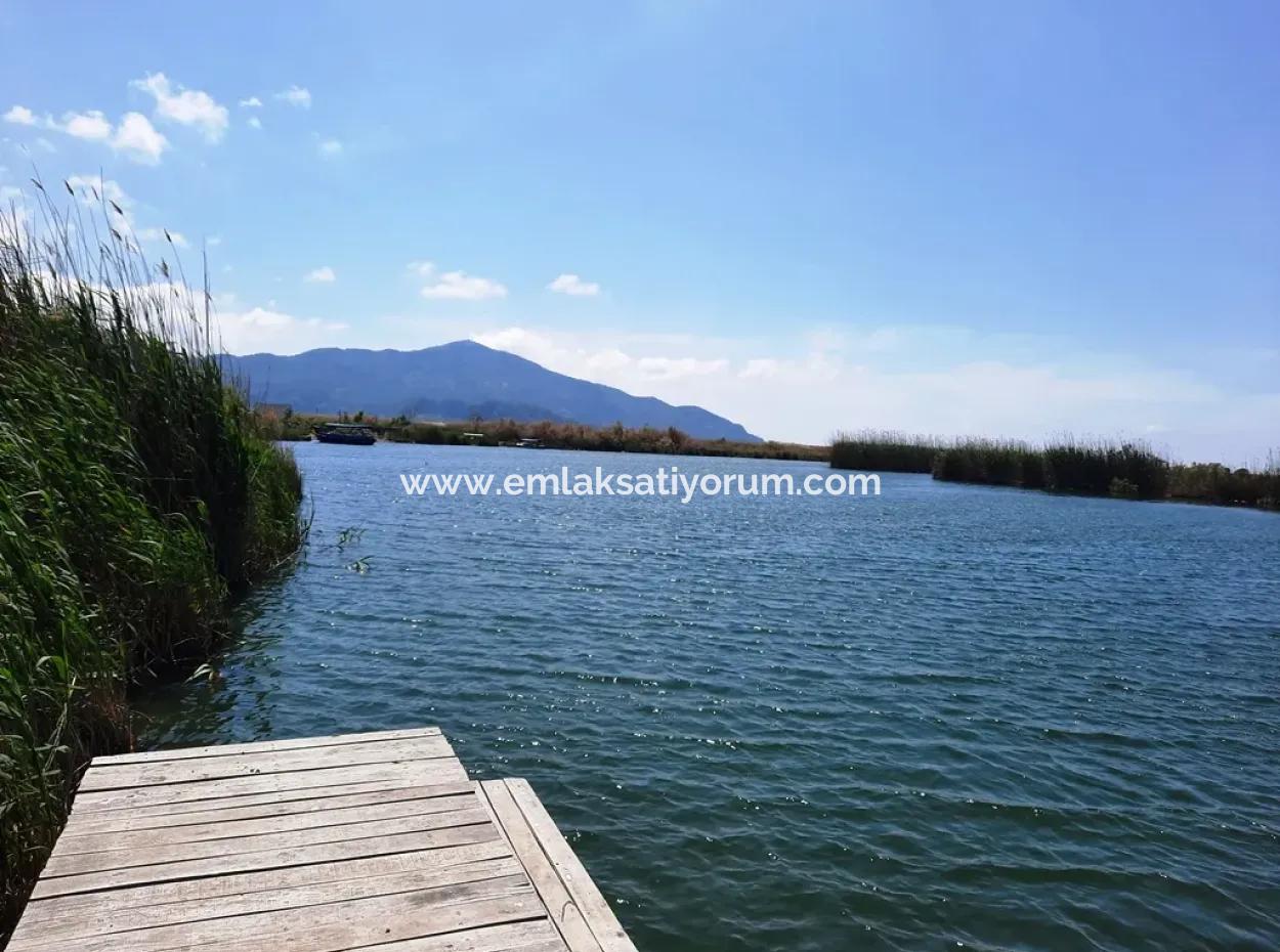 Muğla Dalyanda Satılık Kanala Sıfır Yatırıma Uygun Nar Bahçesi