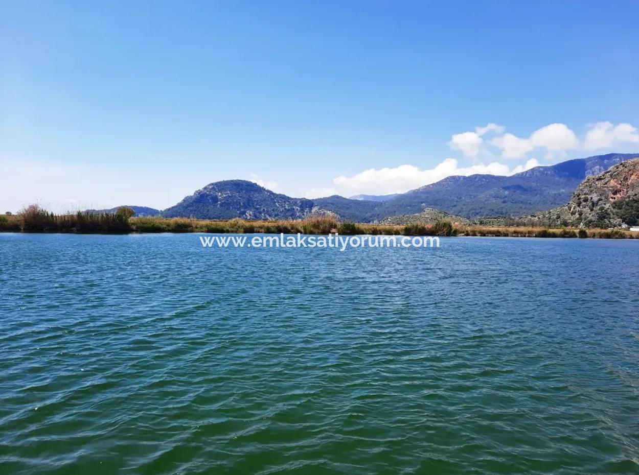 Muğla Dalyanda Satılık Kanala Sıfır Yatırıma Uygun Nar Bahçesi