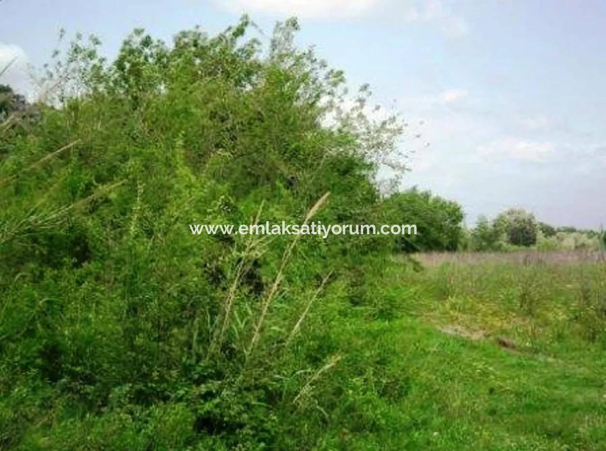 Ortaca Fevziye De Satılık Kelepir Arazi, Yatırıma Uygun, 1500 M2