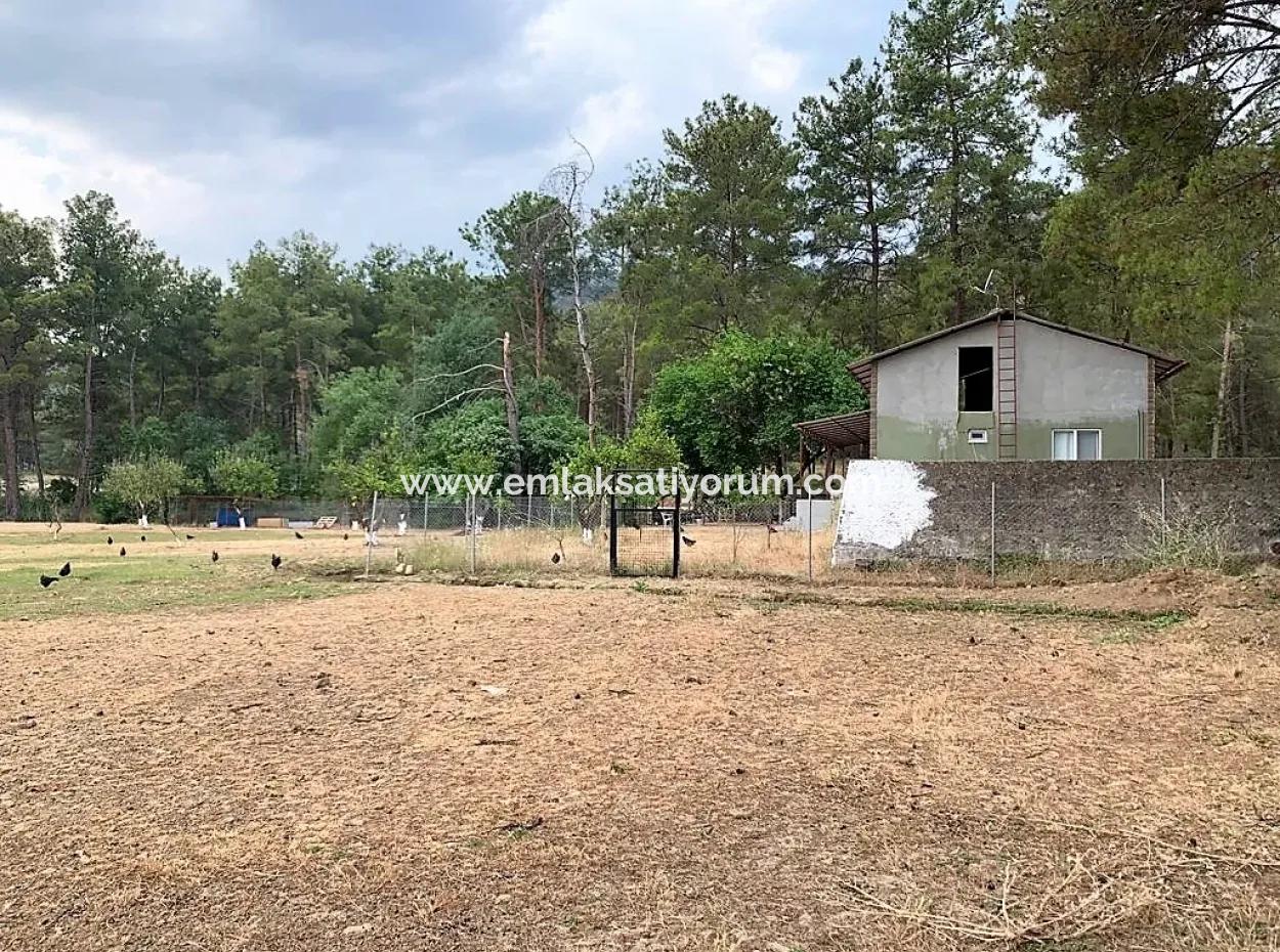 Ortaca Çaylıda Çam Ormanı İçinde Çay Kenarı 10345 M2 Arazi Ve Müstakil Ev Satılık