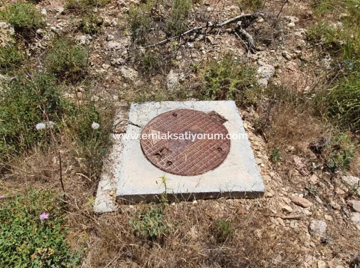 Muğla Menteşe Denizovada Satılık 3031 M2 Müstakil Tarla