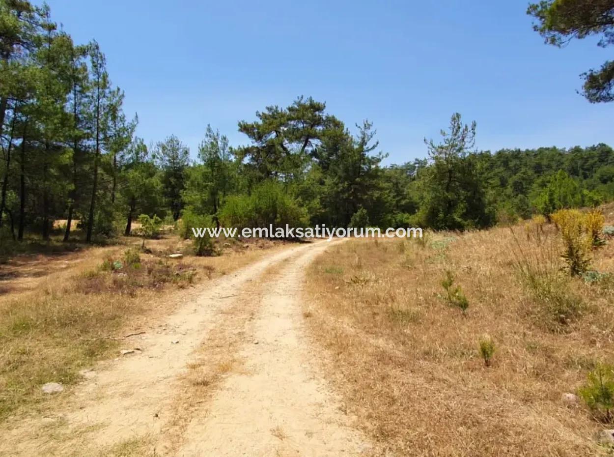 Muğla Menteşe Denizovada Satılık 3031 M2 Müstakil Tarla