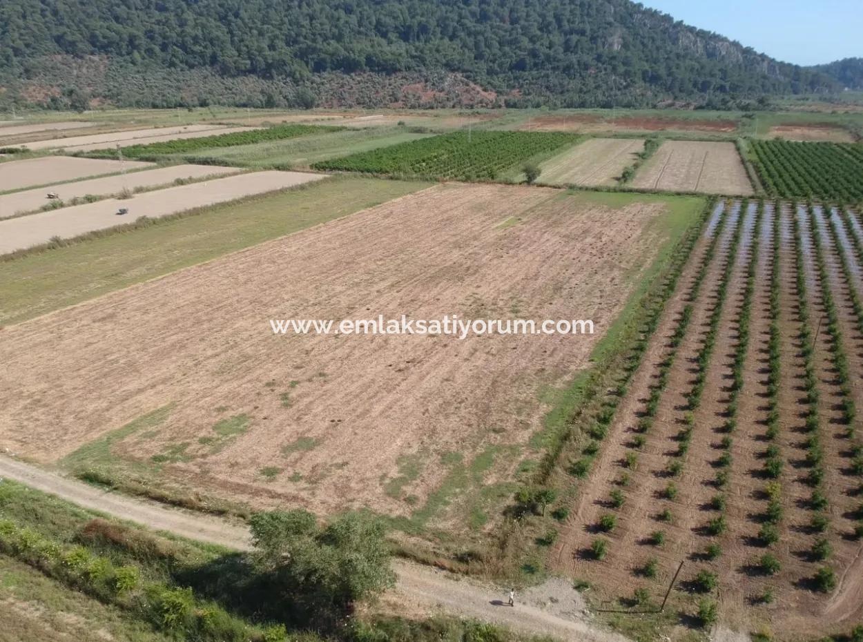 Ortaca Güzelyurt Ta Satılık Arazi, Kelepir 9726 M2