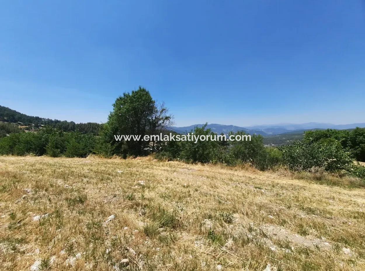 Denizli Çameli Gökçeyakada 2762 M2 Müstakil Arazi Satılık