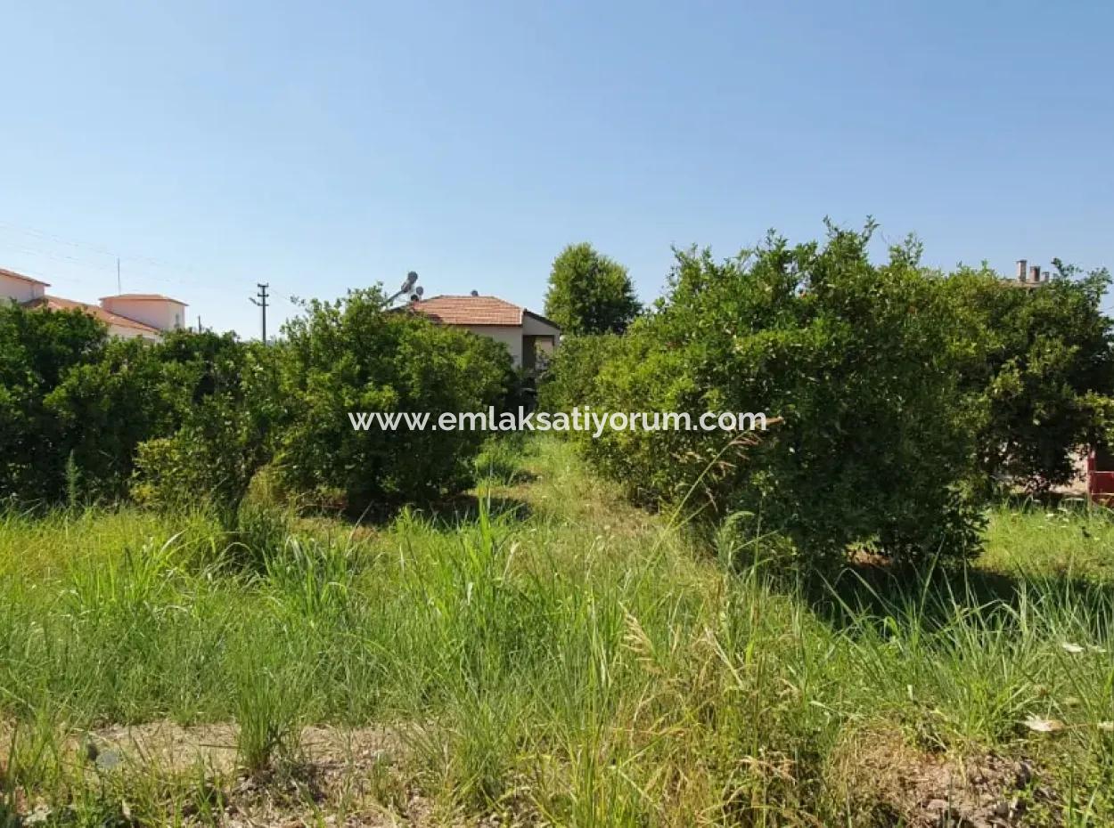 Muğla Ortaca Dikmekavak Mahallesinde 1063 M2 İmarlı Arsa Satılık