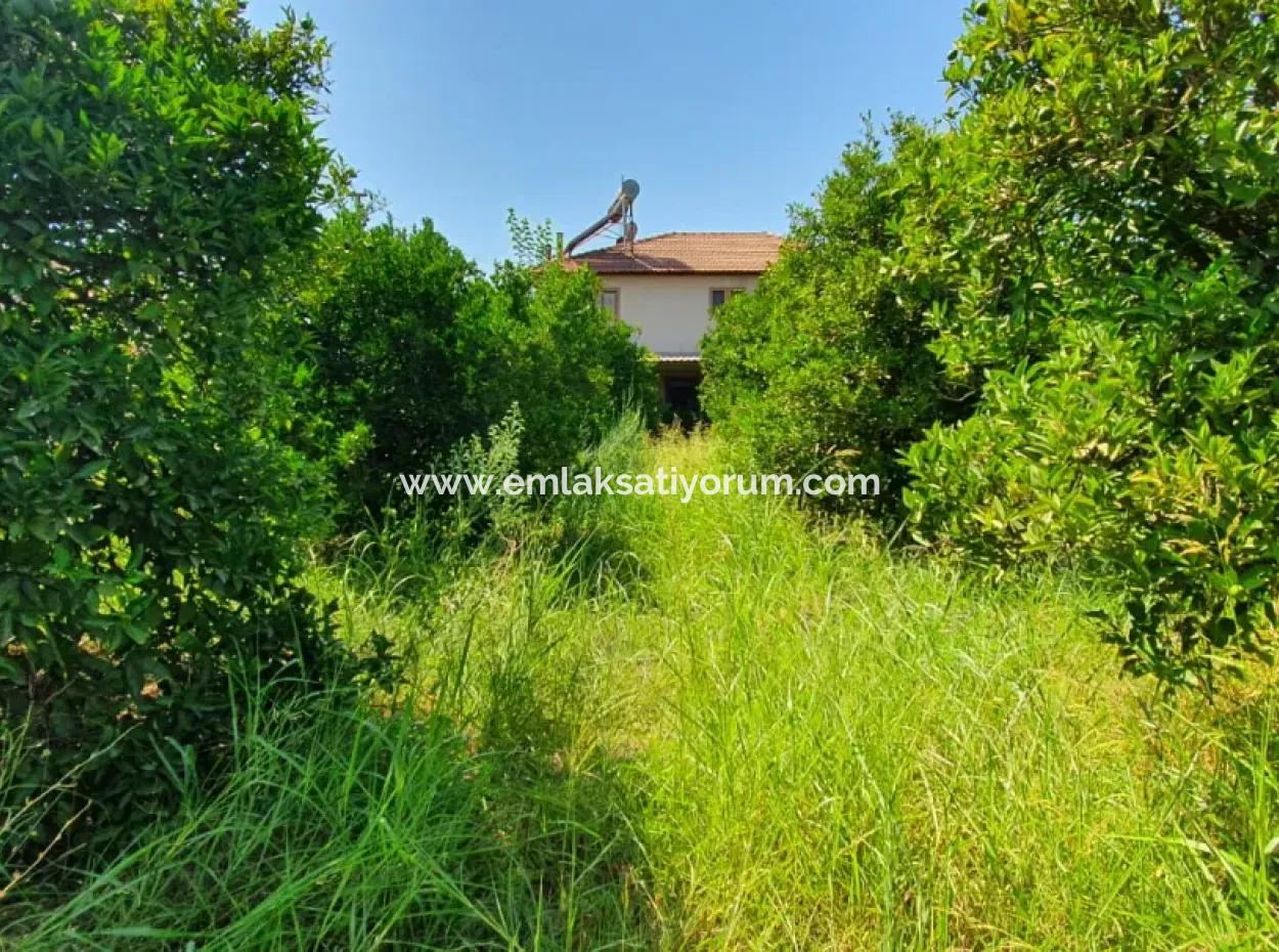 Muğla Ortaca Dikmekavak Mahallesinde 1063 M2 İmarlı Arsa Satılık