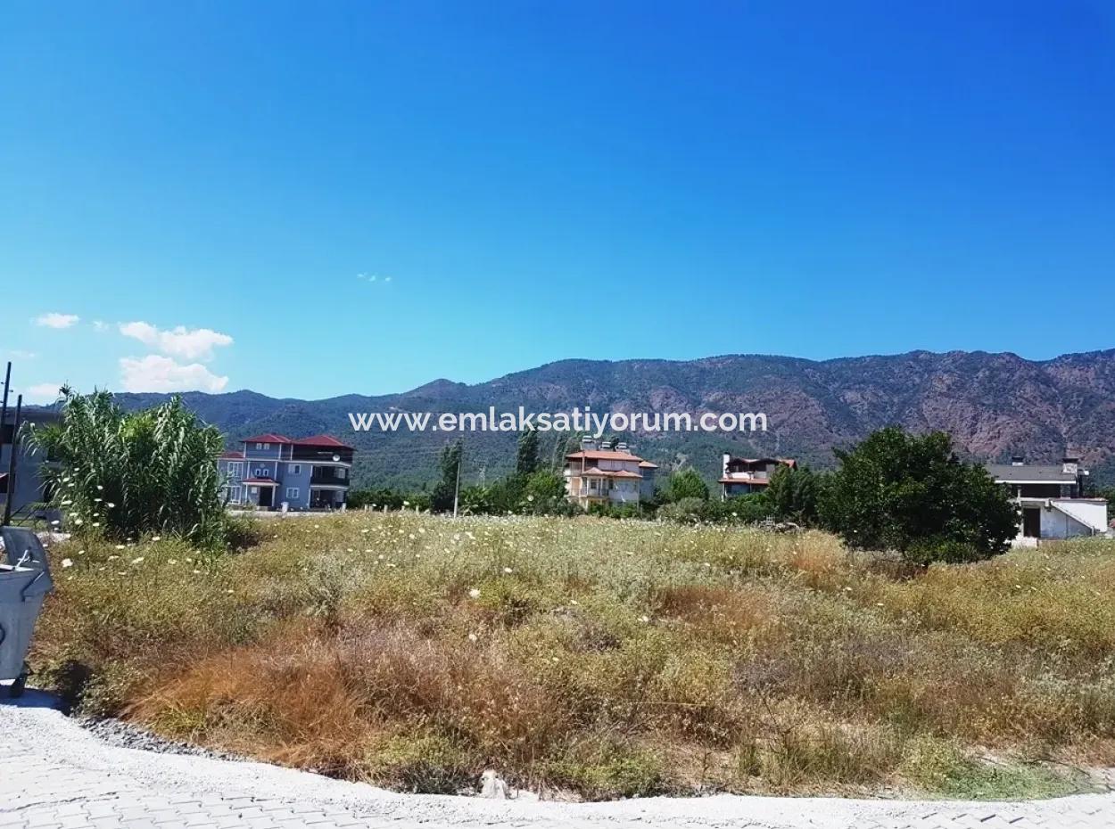 Toparlarda Satılık Mandalina Bahçesi