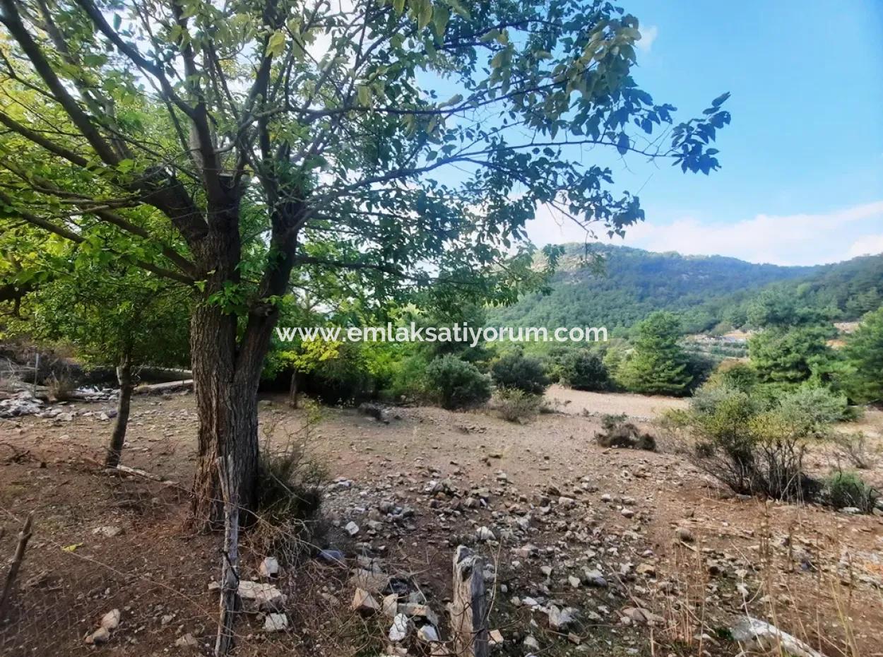 Muğla Dalyan Gökbelde 320 M2 Kelepir Arazi Satılık