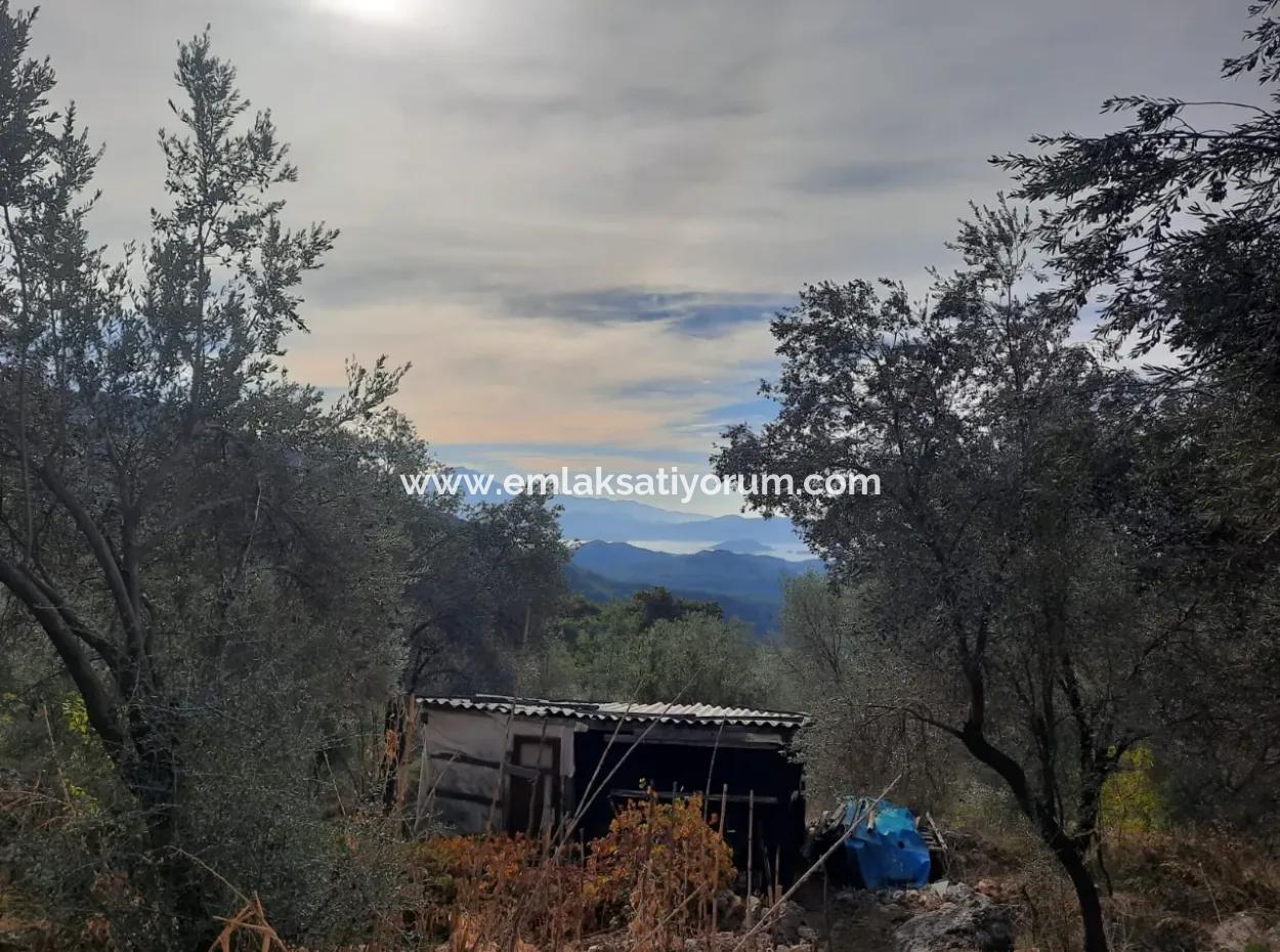 Göcek Gökçeovacıkta Deniz Manzaralı 11,650M2 Müstakil Arazi Ve 1+1 Ev Satılık