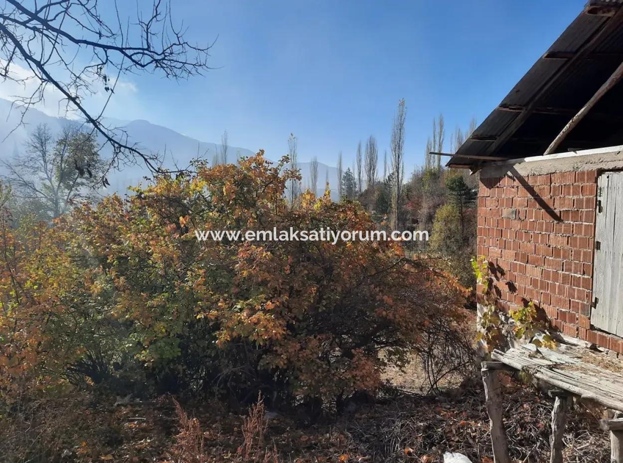 Çameli Cevizlide Kelepir Ahır Ve 2650 M2 Arazisi İle Satılık