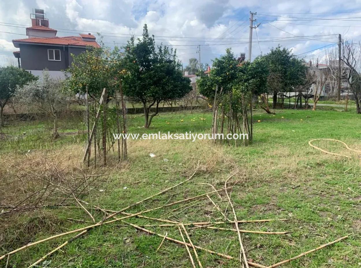 Muğla Ortacada 317 M2 % 30 İmarlı Arsa Satılık