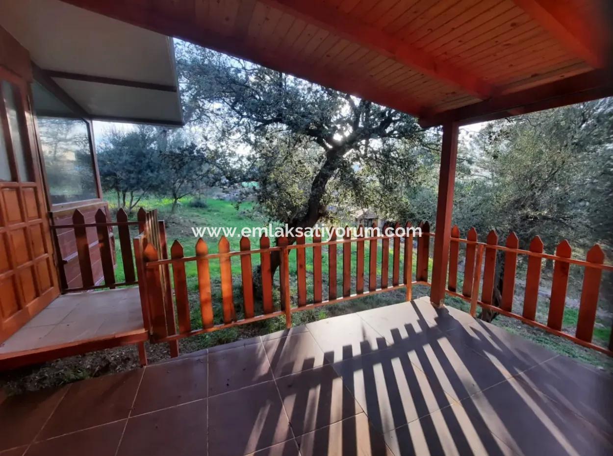 Muğla Ortaca Gökbelde Deniz Manzaralı 1+1 Eşyalı Müstakil Ev Yıllık Kiralık